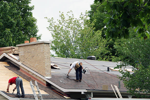 Best Flat Roof Repair Services  in Springfield, MI