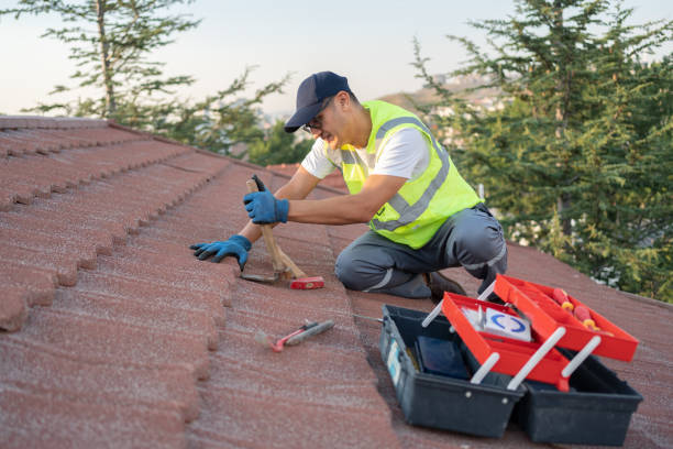 Best Best Roofing Contractors  in Springfield, MI
